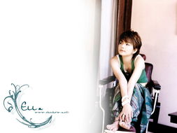 s.h.e
